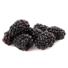 Blackberries