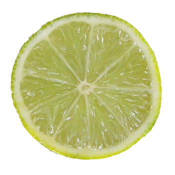 ouniondo 1 pc bar manuel boisson orange citron citrus lime fruits
