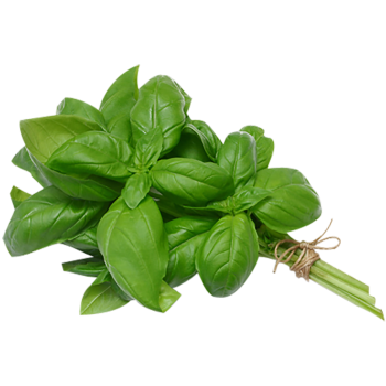 Basil Ingredient