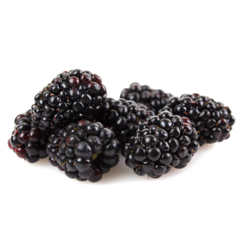 Blackberries Ingredient