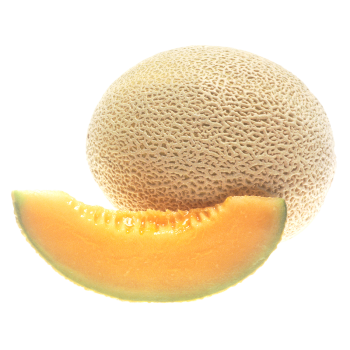 Cantaloupe Ingredient