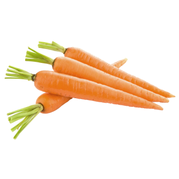 Carrot Ingredient