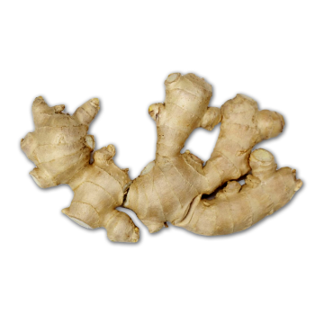 Ginger Ingredient