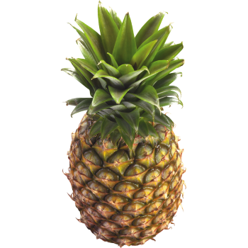 Pineapple Ingredient